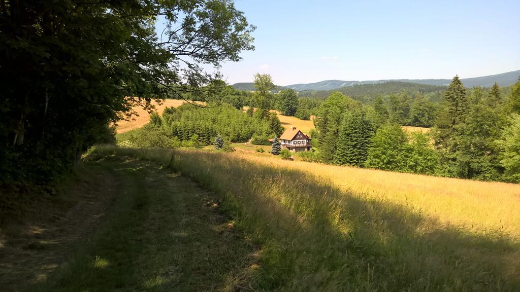 Chalet Lomy Villa Nové Město nad Metují Værelse billede
